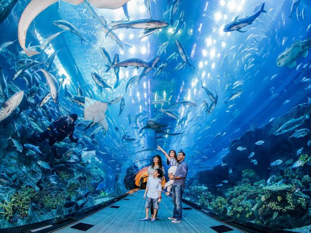 Burj Khalifa Ticket and Underwater Aquarium Tickets